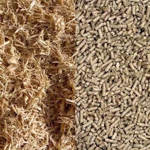 Electric pellet mill (2)