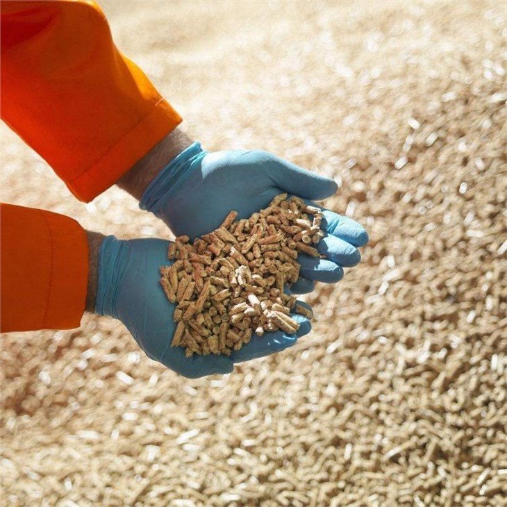 Ring Die Pellet mill (4)