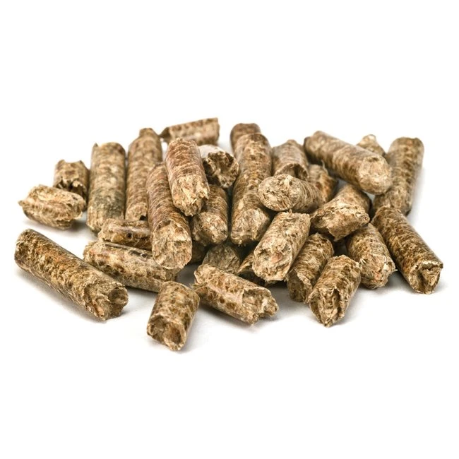 Ring Die Pellet mill (1)