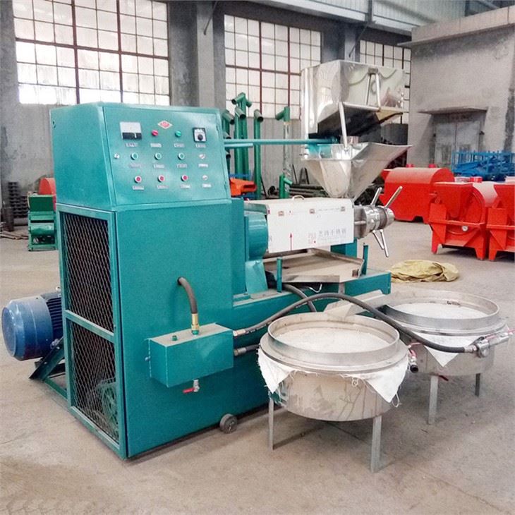 Small Sunflower Seed Peanut Groundnut Oil Press Machine