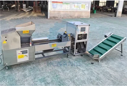 Innovatieve verpakkingsmachine voor champignons