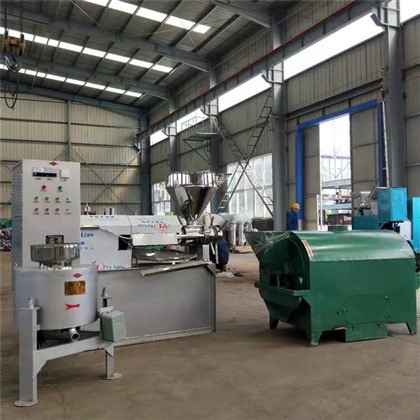 Productielijn voor palmoliepersen