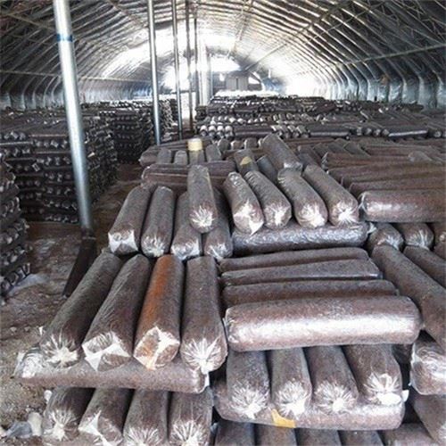 Almond Mushroom Automatic Bagging Production Line