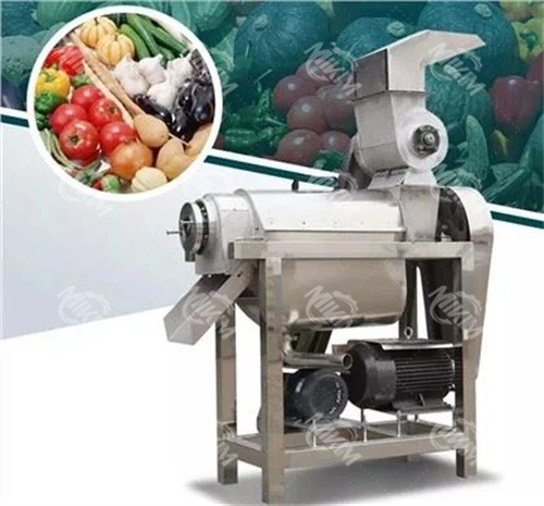 Large Fruit Juicer