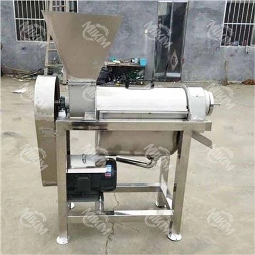 Large Fruit Juicer